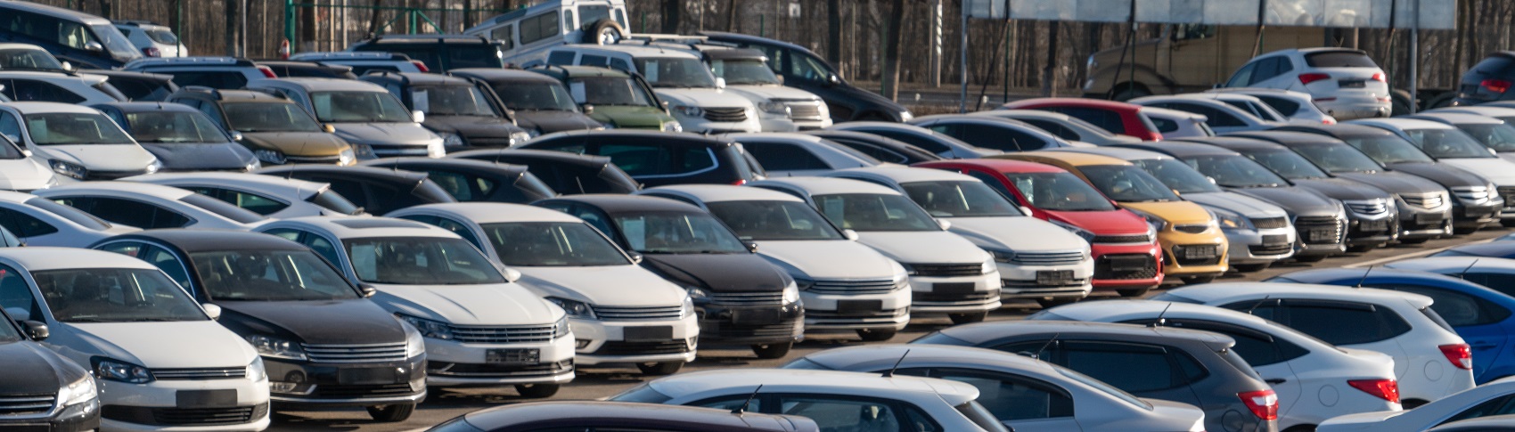Express auto shipping services Florida